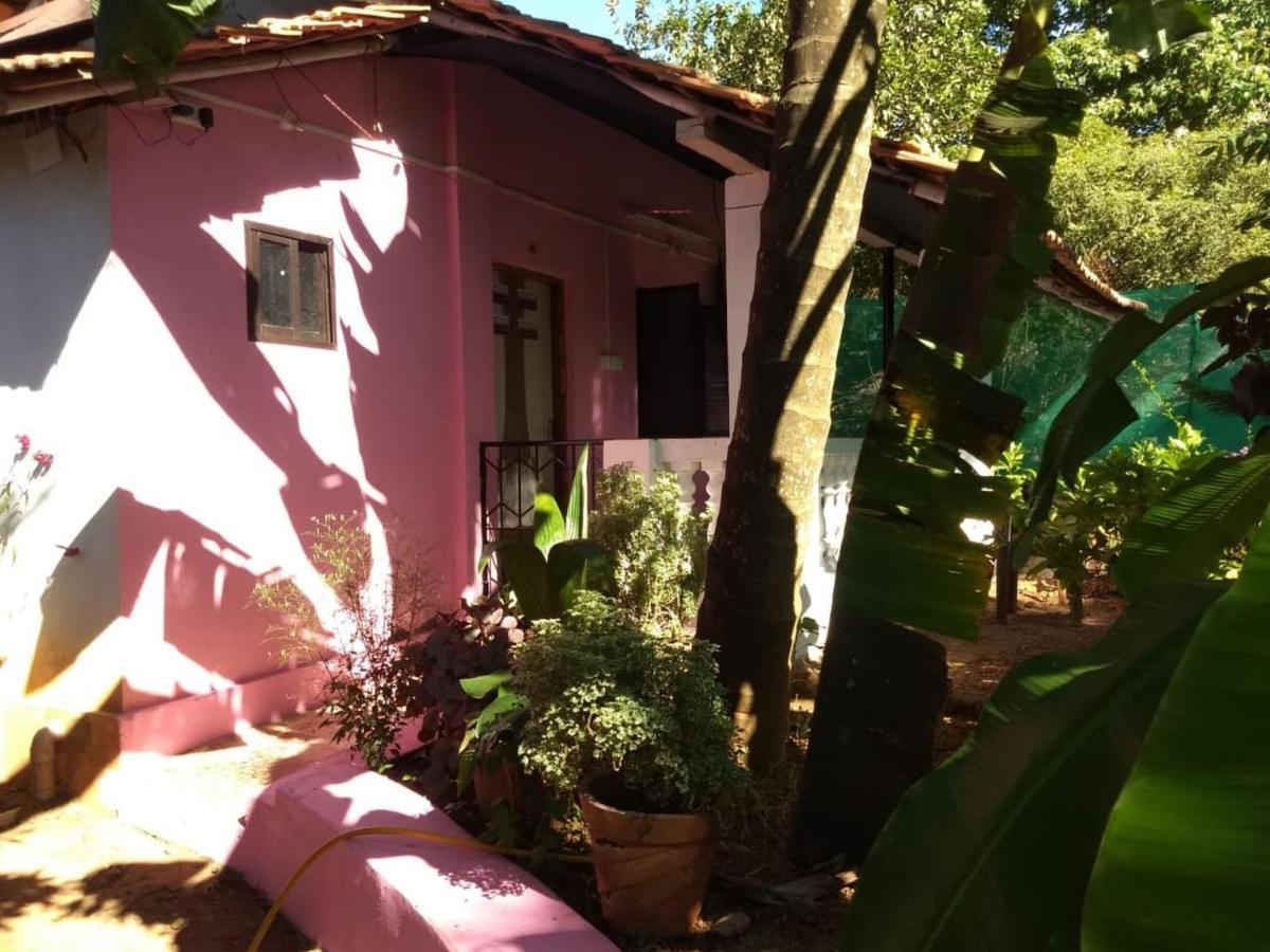 Appartamento Agonda Pink House Canacona Esterno foto